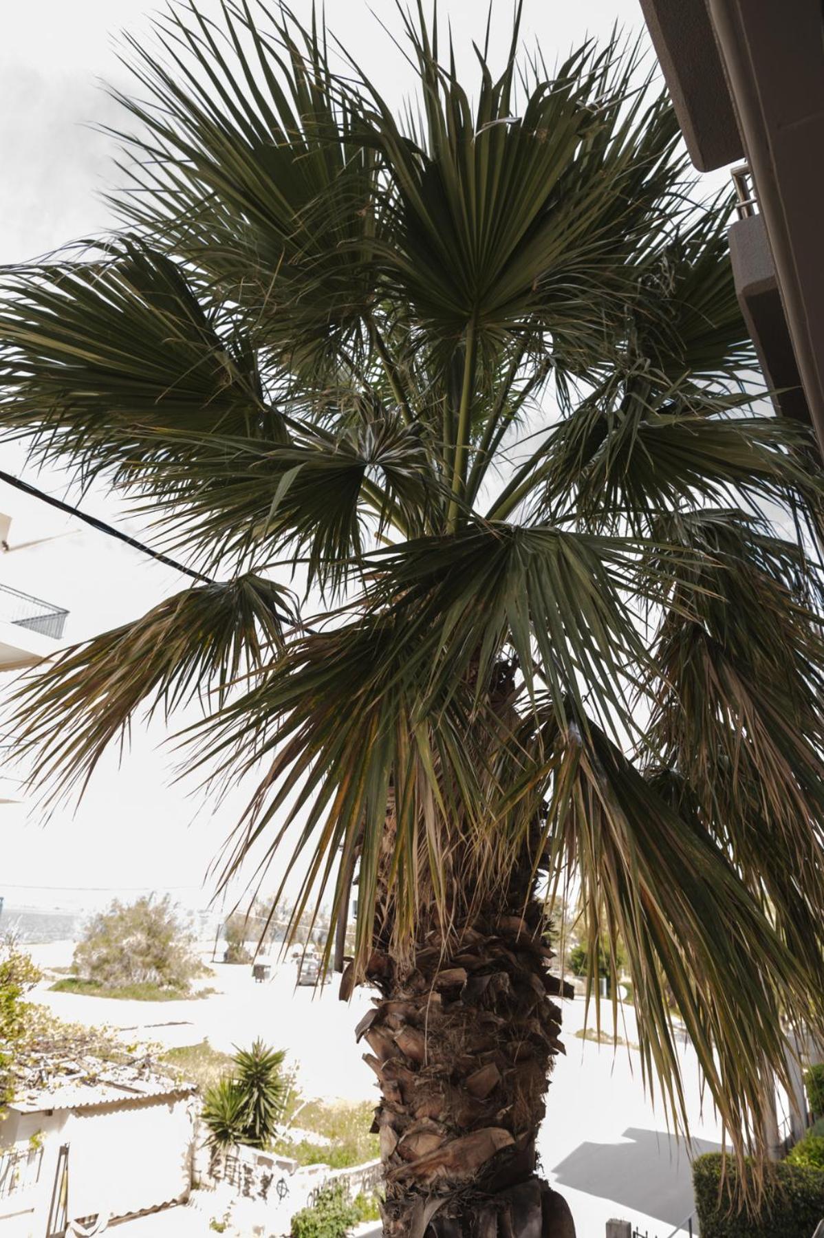 Sea View Apartment Chalkida Exterior foto